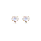 Pair of oval-shaped earrings on a white background