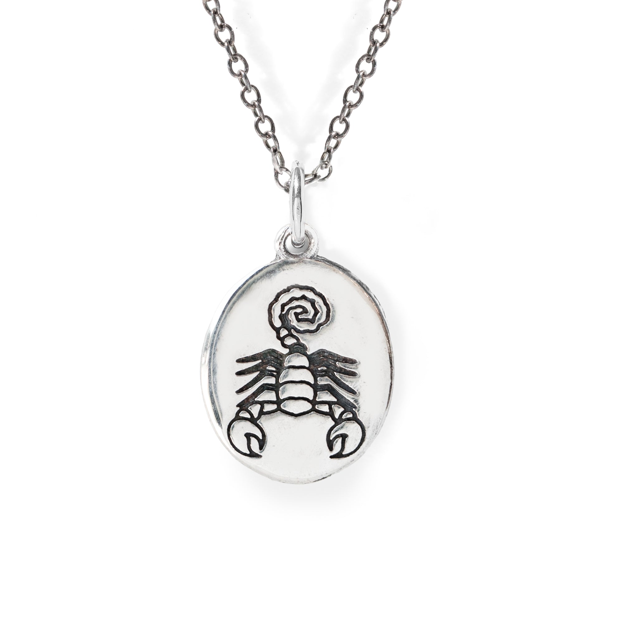 Silver necklace with a scorpion pendant on a white background